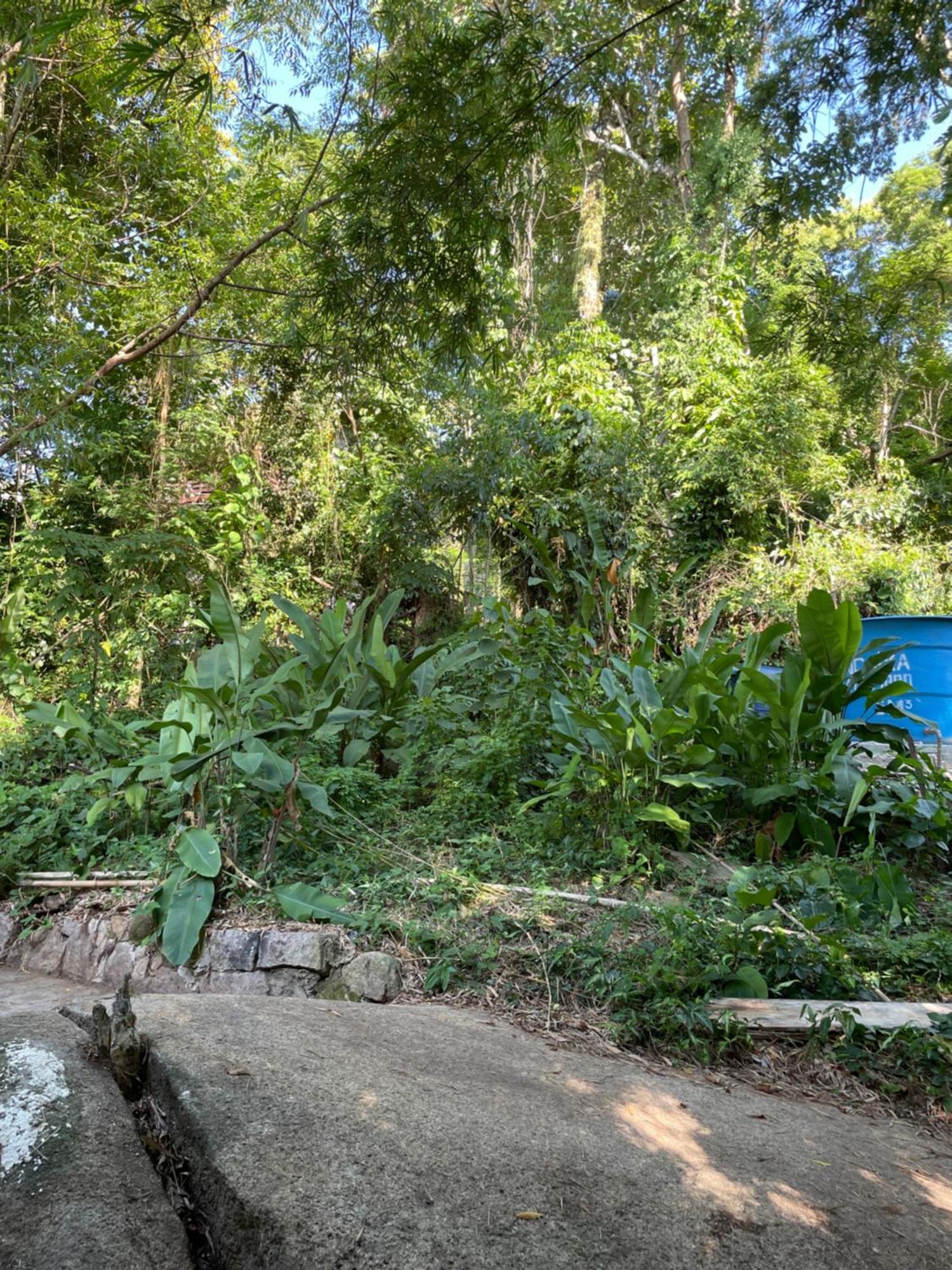 Maresia Habitación en casa particular Angra dos Reis